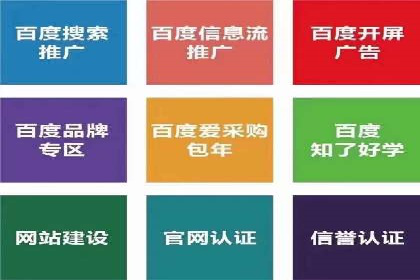 案例解读：SEM广告如何助力品牌崛起